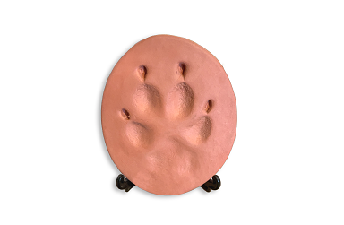 Terracotta Clay Paw Print Image
